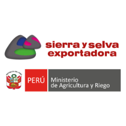 Logo del Evento