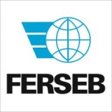 Logo Ferseb