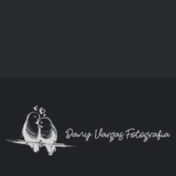 Logo Daniela Vargas Fotografía 