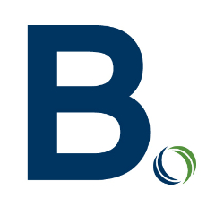 Logo Bizyon