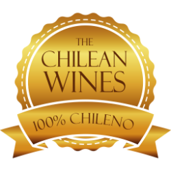 Logo ChileanWines Market Global SPA