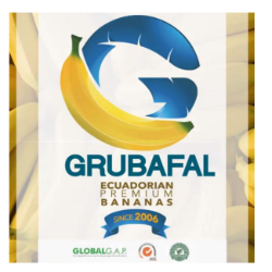 Logo GRUBAFAL SA