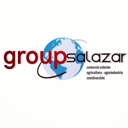 Logo GROUP SALAZAR