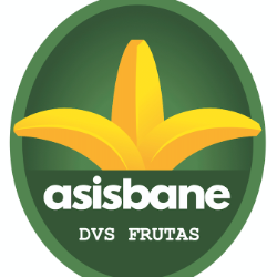 Logo ASISBANE/DVS