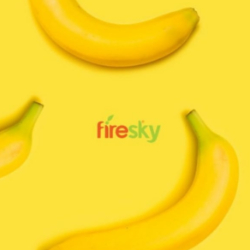 Logo Firesky SA