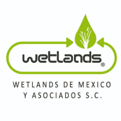 Logo WETLANDS DE MEXICO Y ASOCIADOS S.C.