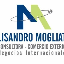 Logo Lisandro Mogliati - Comercio Exterior - Negocios Internacionales