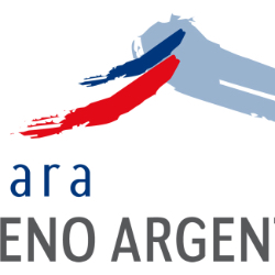 Logo Camara Chileno Argentina de Comercio