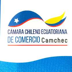 Logo Camchec