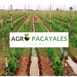 Logo AGRO PACAYALES SAC