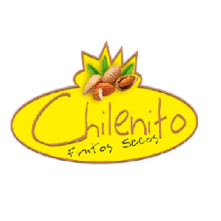 Logo Chilenito SpA