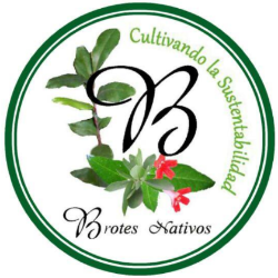 Logo Brotes Nativos®