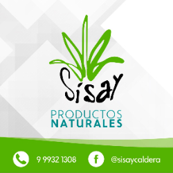 Logo SISAY