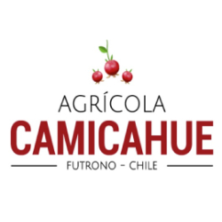 Logo Agicola CAMICAHUE