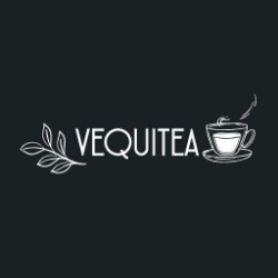 Logo Comercial Vequi Spa