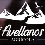 Logo Los Avellanos Spa