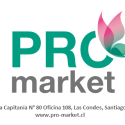 Logo Pro Market Ltda