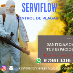 Logo Serviflow spa