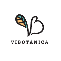 Logo Comercial Vibotánica Limitada