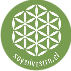Logo Comercial Silvestre Spa