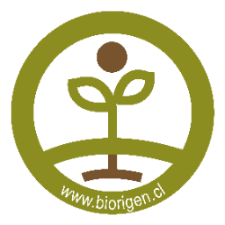 Logo Biorigen SpA