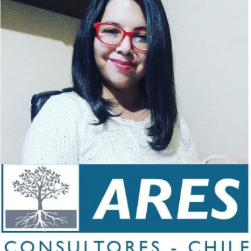 Logo Ares Consultores Chile