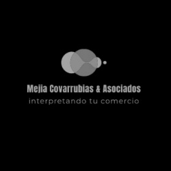Logo Mejia Covarrubias & Asociados, SA de CV