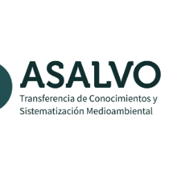 Logo Ingeniaría y Gestión Medio Ambiental ASALVO Limitada 