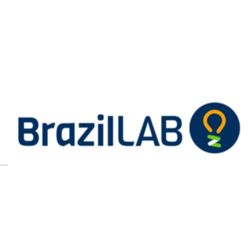 Logo BRAZILLAB