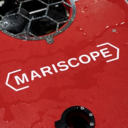 Logo Mariscope