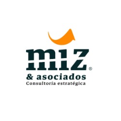 Logo MIZ & ASOCIADOS