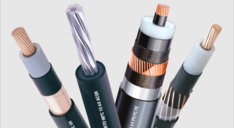 /web/images/users/46817/products/globiz_46817_product_1.png